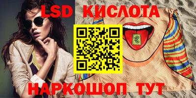 прущие грибы Ноябрьск