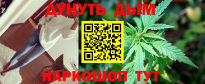 прущие грибы Ноябрьск