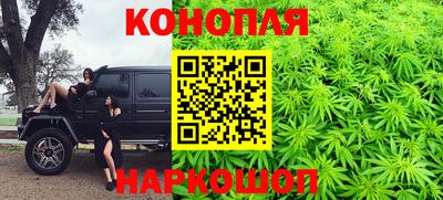 прущие грибы Ноябрьск