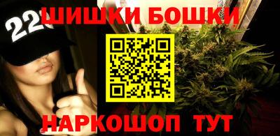 прущие грибы Ноябрьск