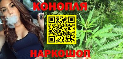 прущие грибы Ноябрьск